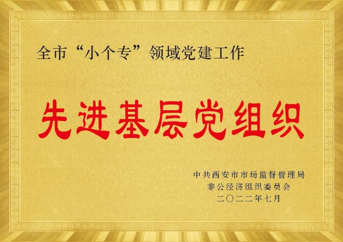先进基层党组织
