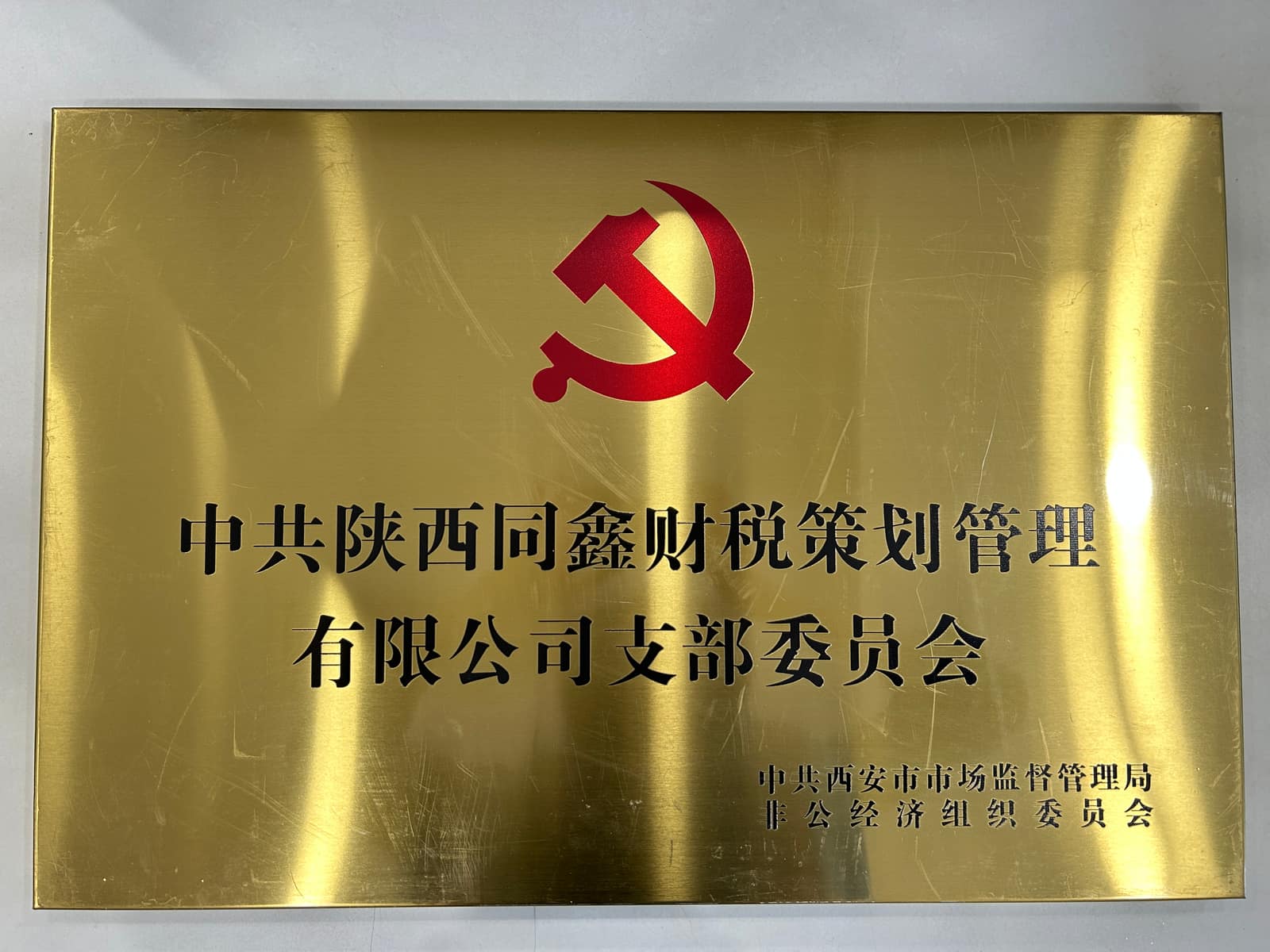 中共陕西同鑫财税策划管理有限公司支部委员会
